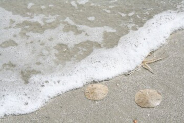 Beach 16 of 49