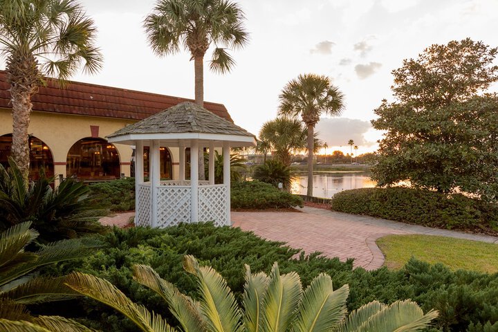 Lake view