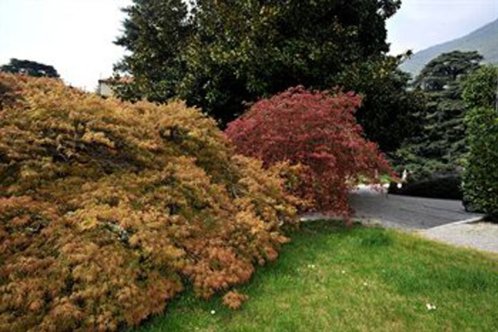 Property Grounds 28 of 30