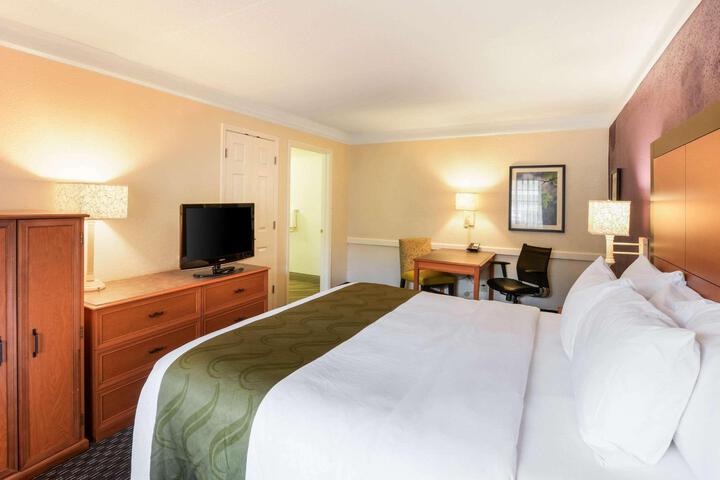 1 King Bed (5 of 8)