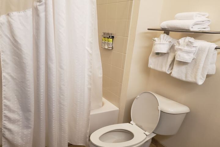 1 King Bed Accessible (9 of 16)