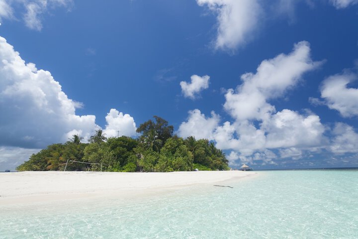 Beach 55 of 69