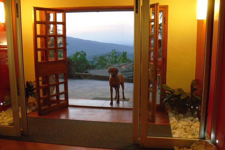 Pet Friendly 69 of 94