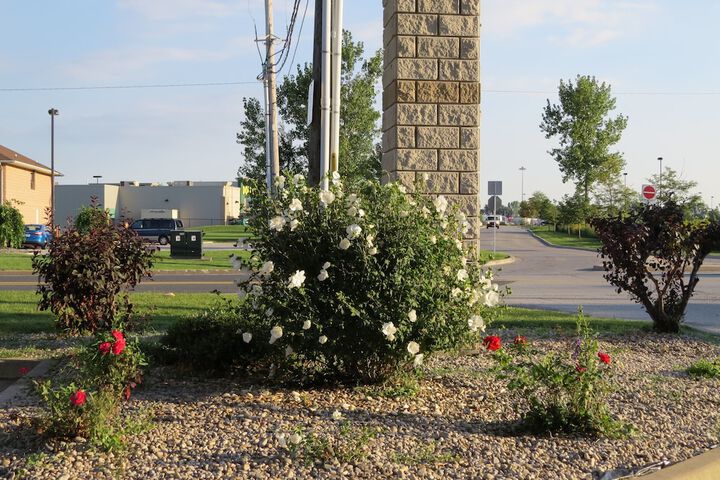 Property Grounds 25 of 28