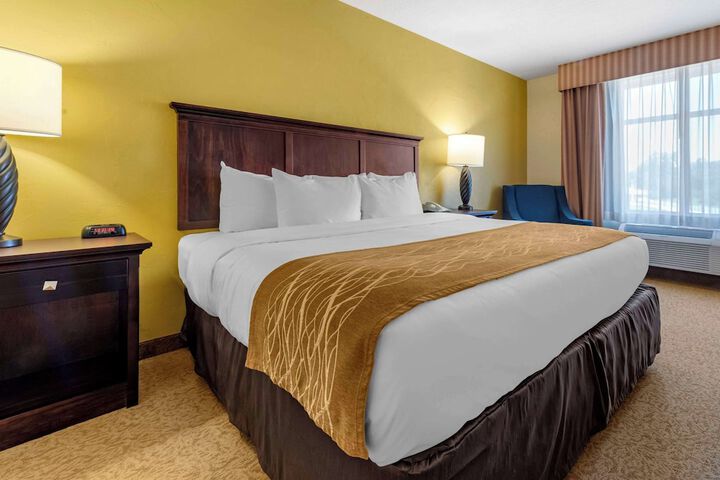 1 King Bed (17 of 19)
