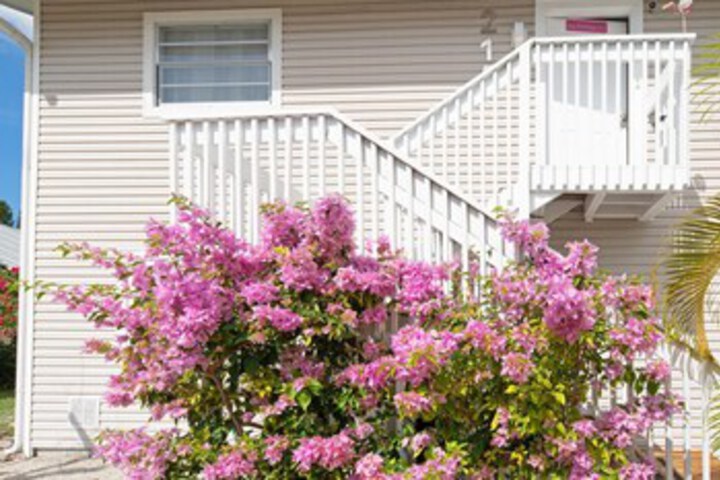 Blue Dolphin Estates in Fort Myers Beach, FL