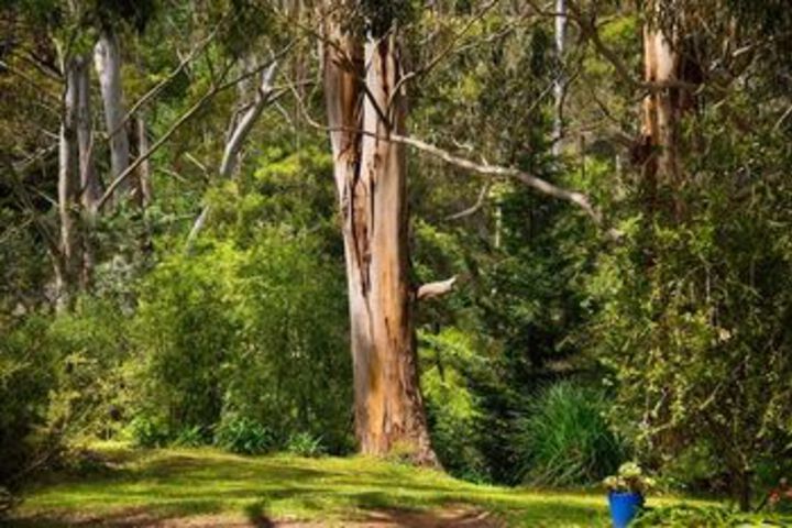 Property Grounds 12 of 13