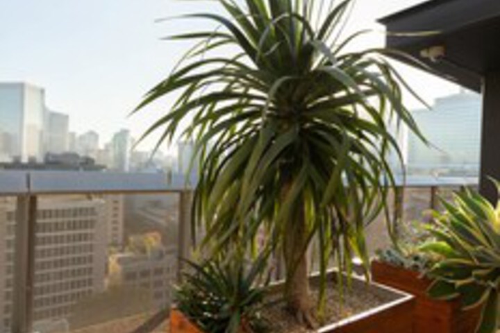 Property Grounds 4 of 28