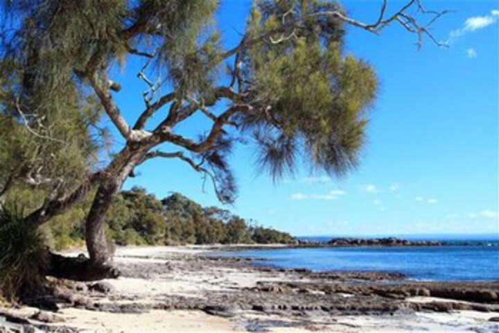 Beach 10 of 64
