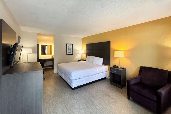 1 King Bed (14 of 18)