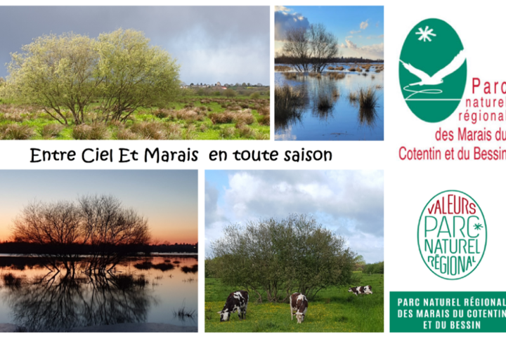 Entre Ciel et Marais