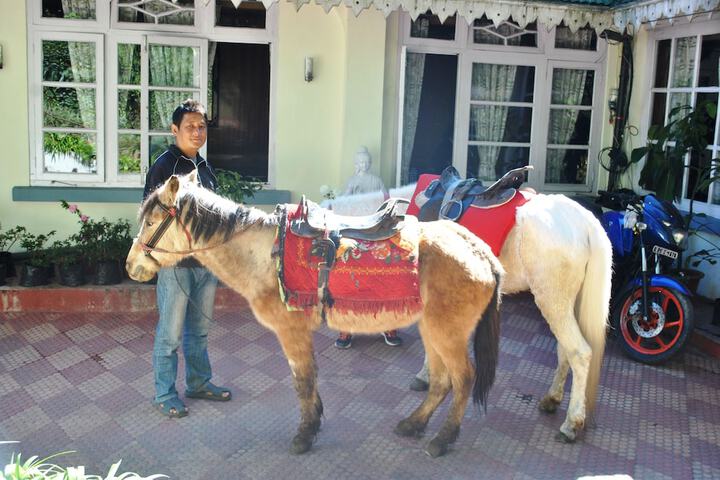 Spa and Wellness Pictures