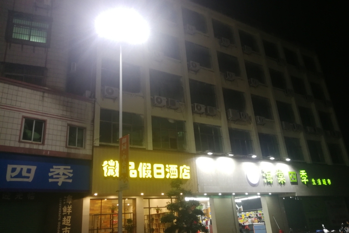 Tai Po Micro-Pin Holiday Inn