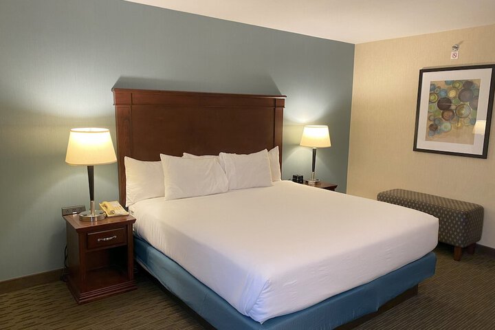 Room 12 of 50
