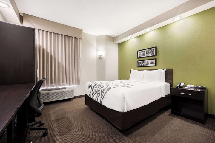 Queen Bed Accessible (3 of 16)
