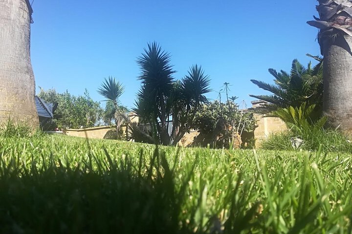 Property Grounds 33 of 64