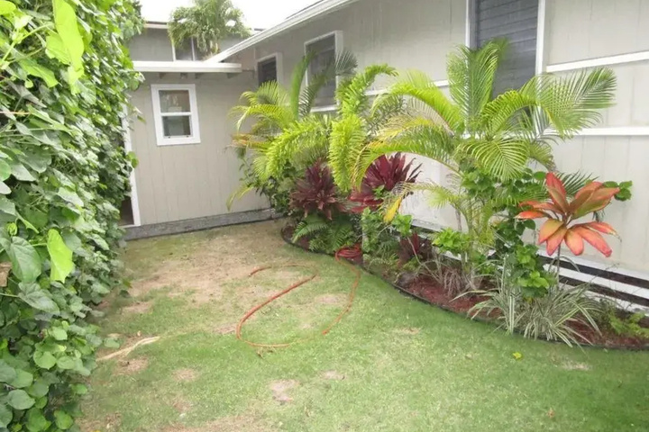 Photo of 341 Hualani St