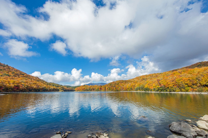 ・It feels good to relax while looking at the autumn leaves on the lakeside.