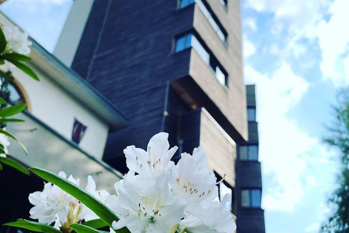 Hotel 49 of 50