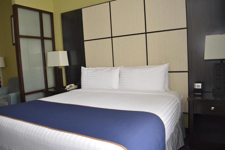 Deluxe King Bed (14 of 17)