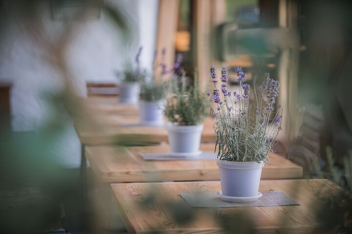 Terrace/Patio 36 of 36