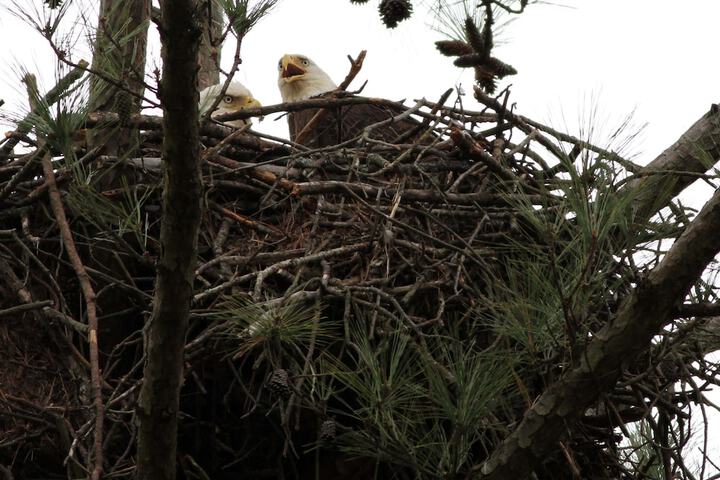 Property Grounds 114 of 131