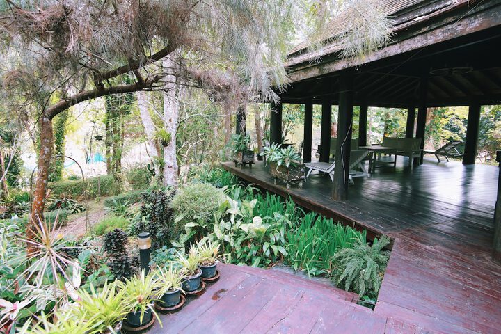 Terrace/Patio 52 of 67