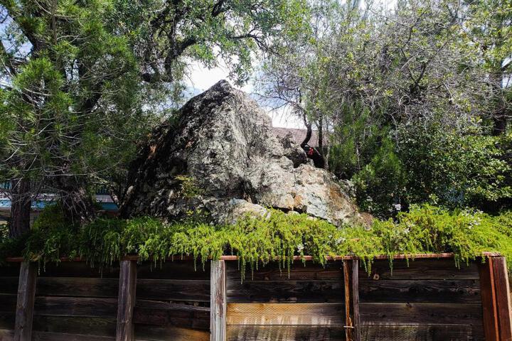Photo 46