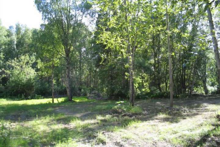 Property Grounds 15 of 32