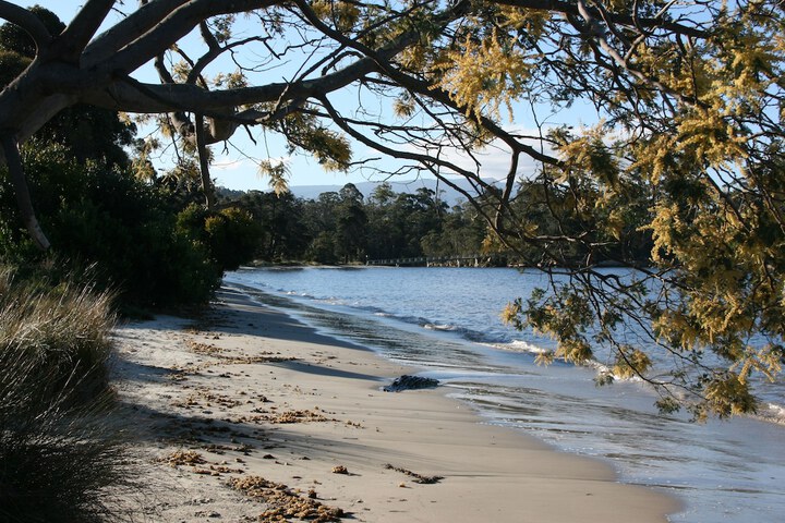 Beach 51 of 91