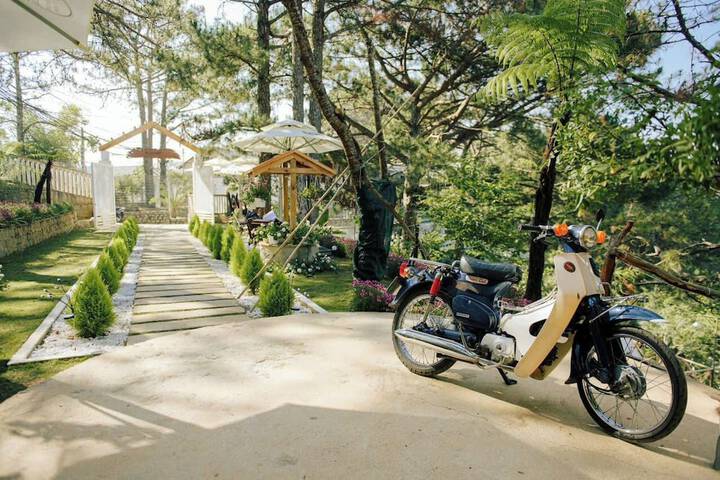 Dong Homestay in Da Lat