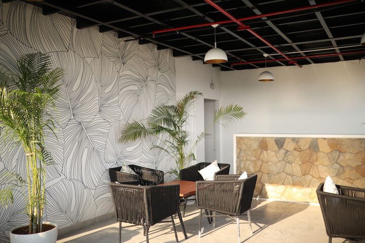 Lounge 8 of 15