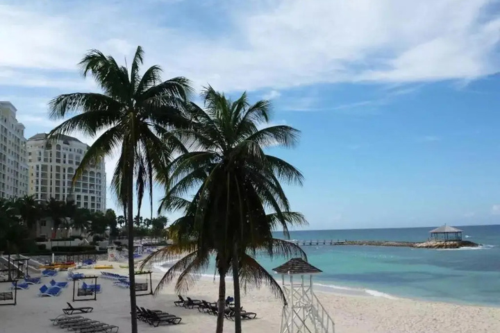 Family Complex beside Beach w Pool Montego Bay #1