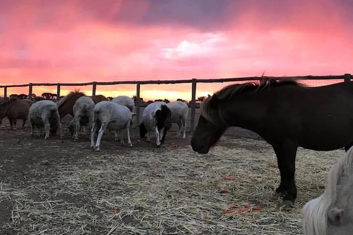 Property Grounds 14 of 21