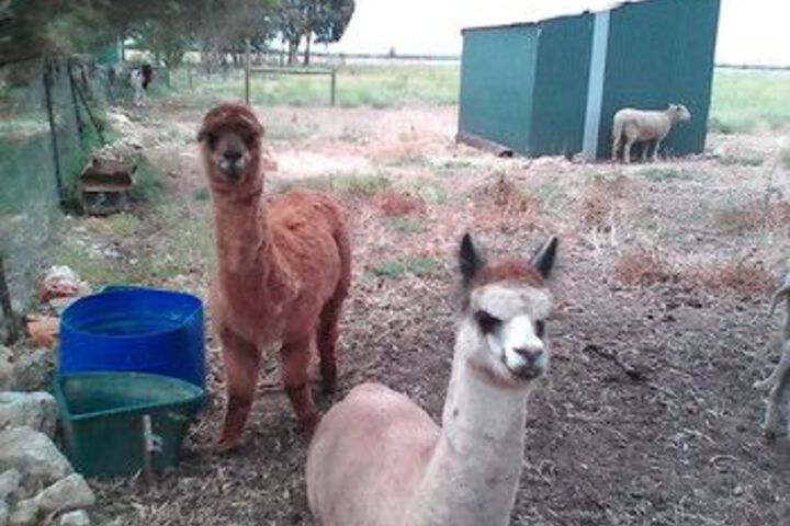 Property Grounds 20 of 20