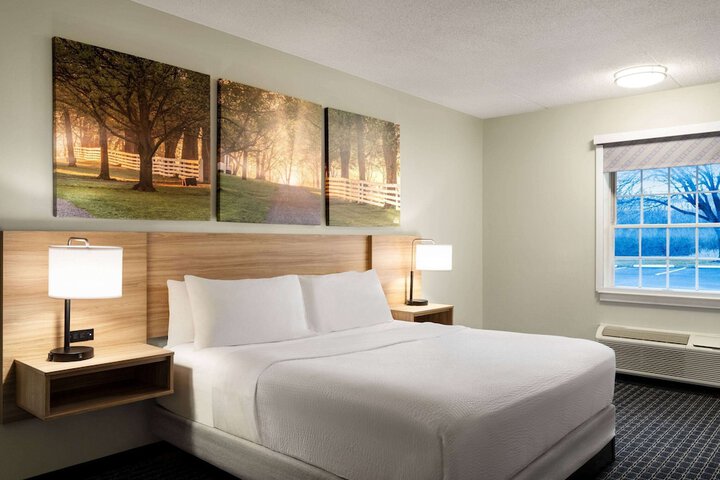 1 King Bed (4 of 8)