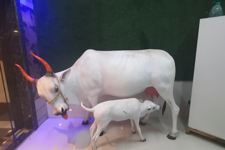 Hotel Interior 4 of 6