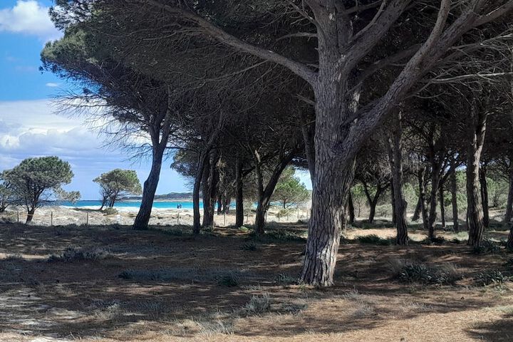 Beach 39 of 48