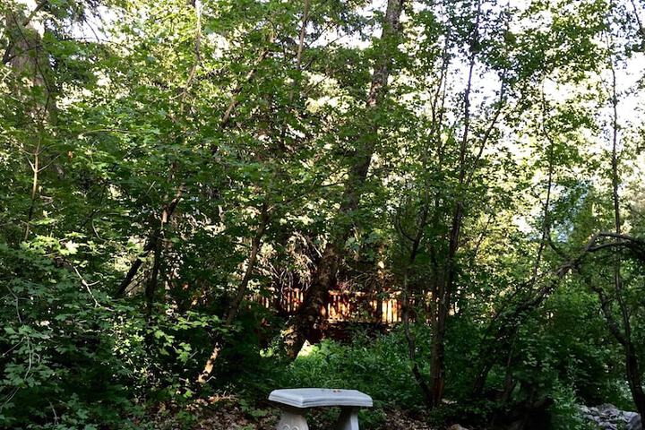 Property Grounds 15 of 26
