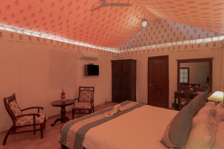 Room 14 of 51