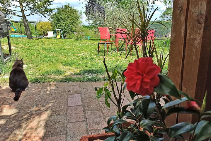 Terrace/Patio 16 of 65