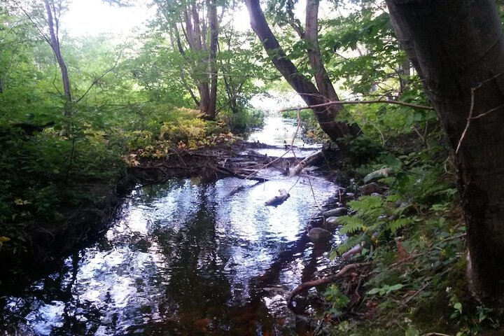 Property Grounds 40 of 70