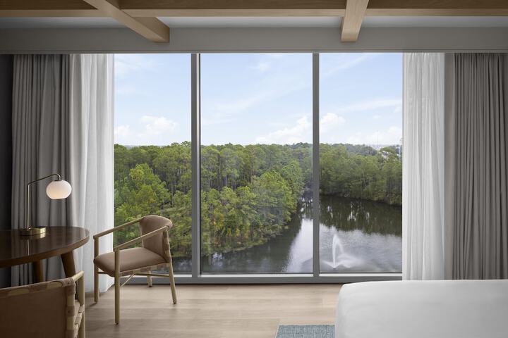 Lake view