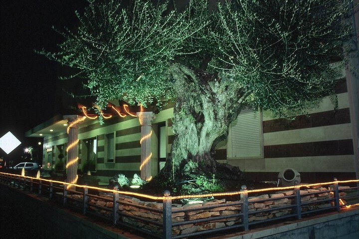 Hotel 60 of 61