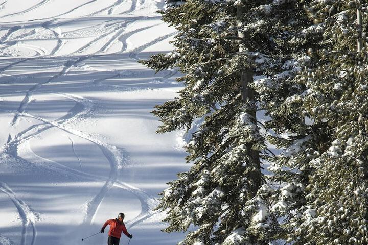Skiing
