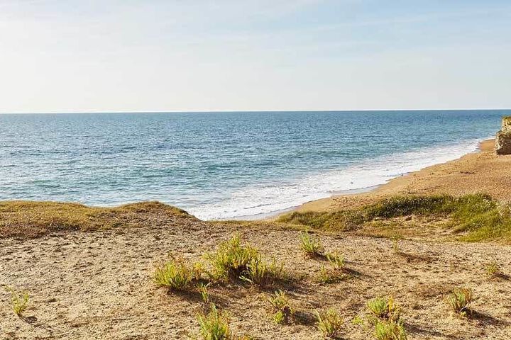 Beach 8 of 23
