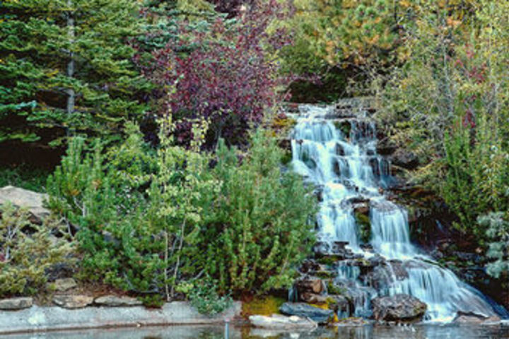 Property Grounds 41 of 56