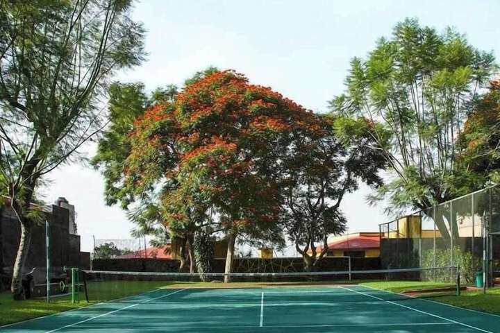 Tennis and Basketball Courts 36 of 59