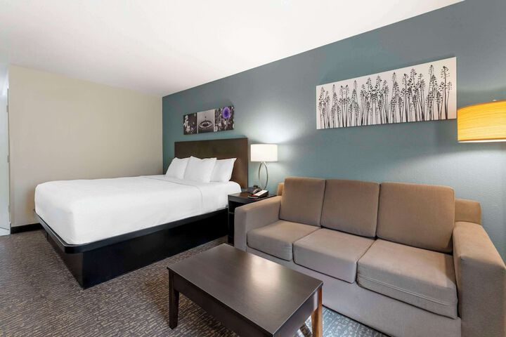 1 King Bed Suite (8 of 10)