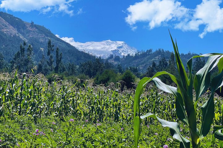 Hotel 47 of 56